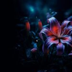 Journey of Serenity and Self-Discovery